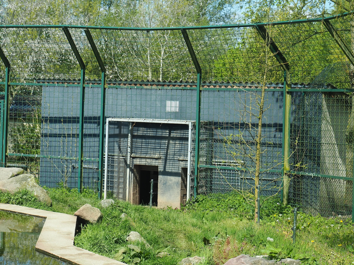 Polar bear holding, 2023-04-30