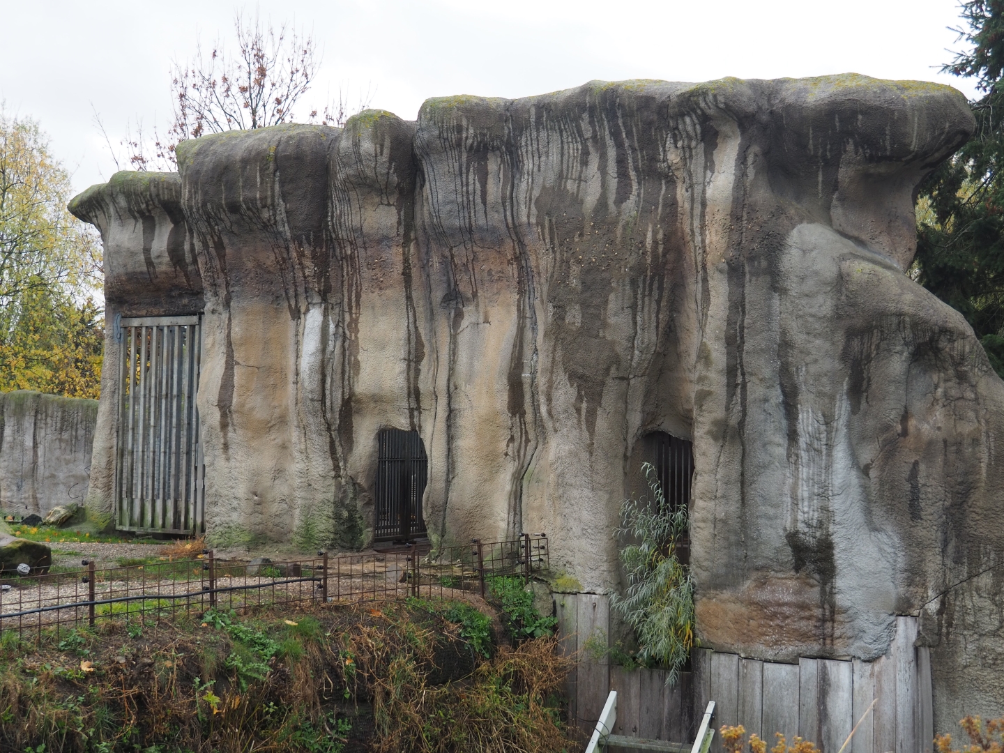 Polar bear holding building (Nov 10th, 2018)