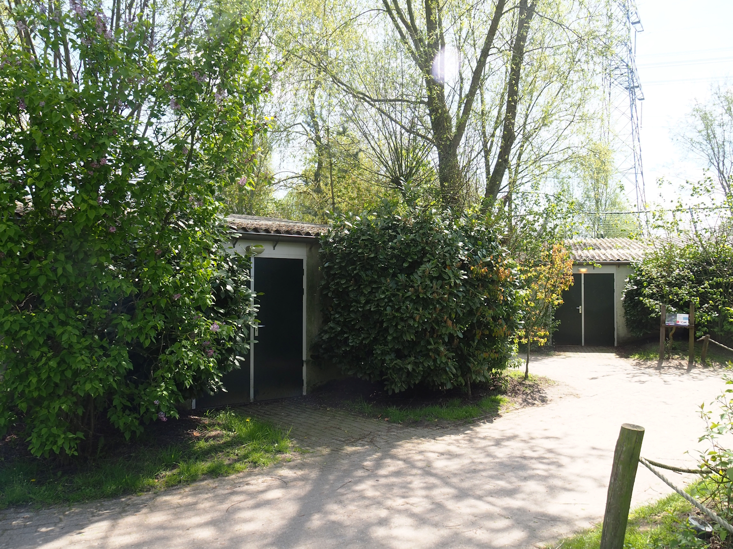 Polar bear holding buildings, 2023-04-30