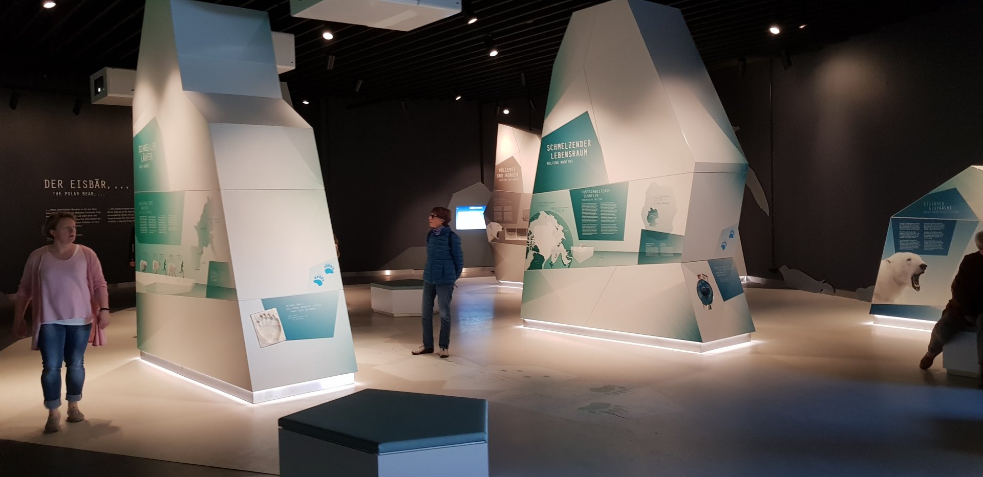 Polar bear interpretation panels in new polarium