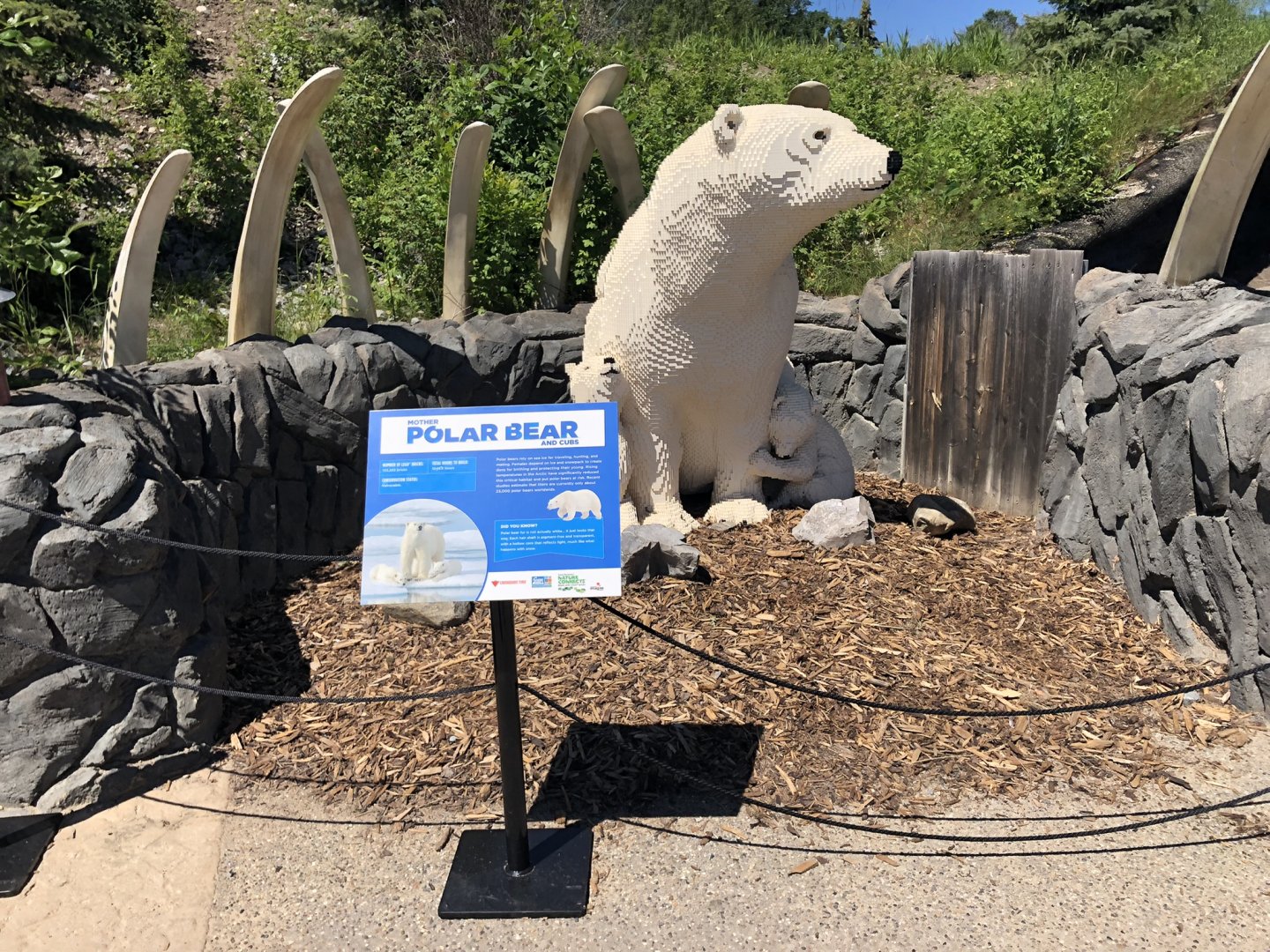 Polar Bear LEGO Sculpture at Edmonton Valley Zoo (July 2022)