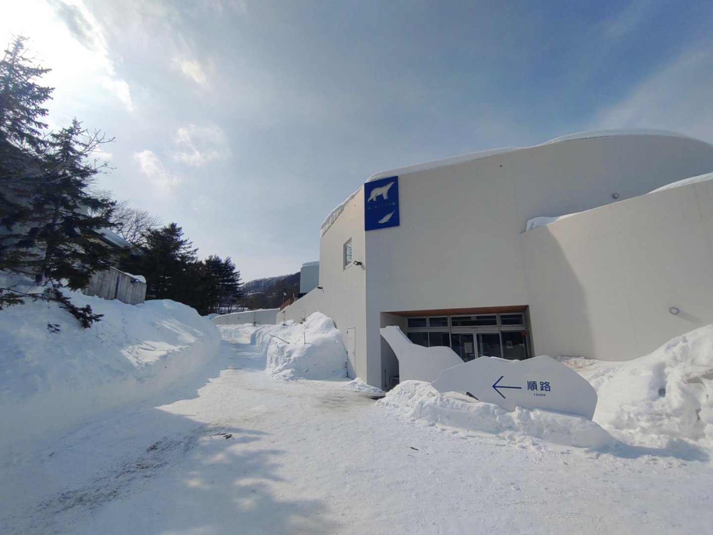 Polar bear new cage at Maruyama Zoo