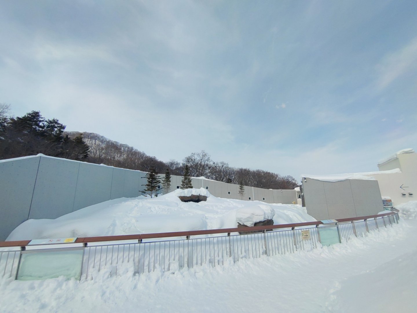 Polar bear new cage at Maruyama Zoo