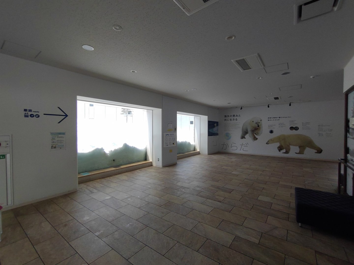 Polar bear new cage at Maruyama Zoo