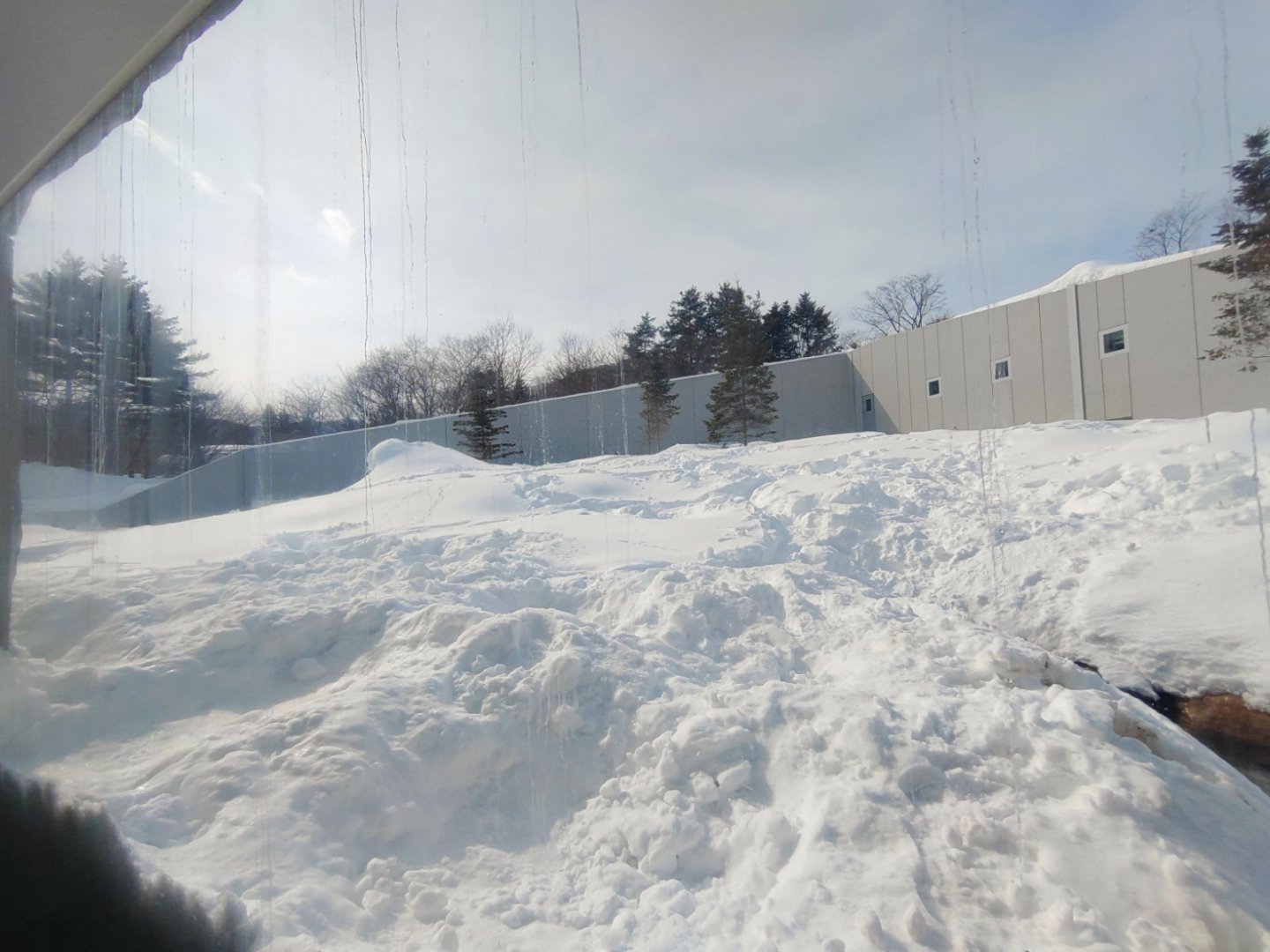 Polar bear new cage at Maruyama Zoo