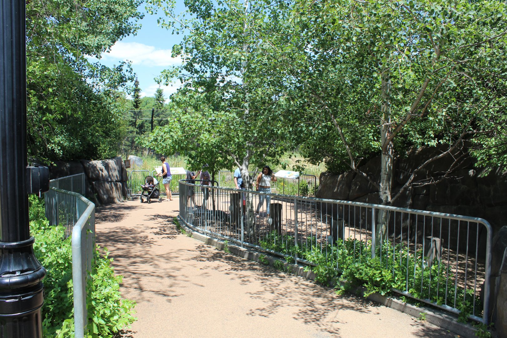 Polar Bear Odyssey Entrance