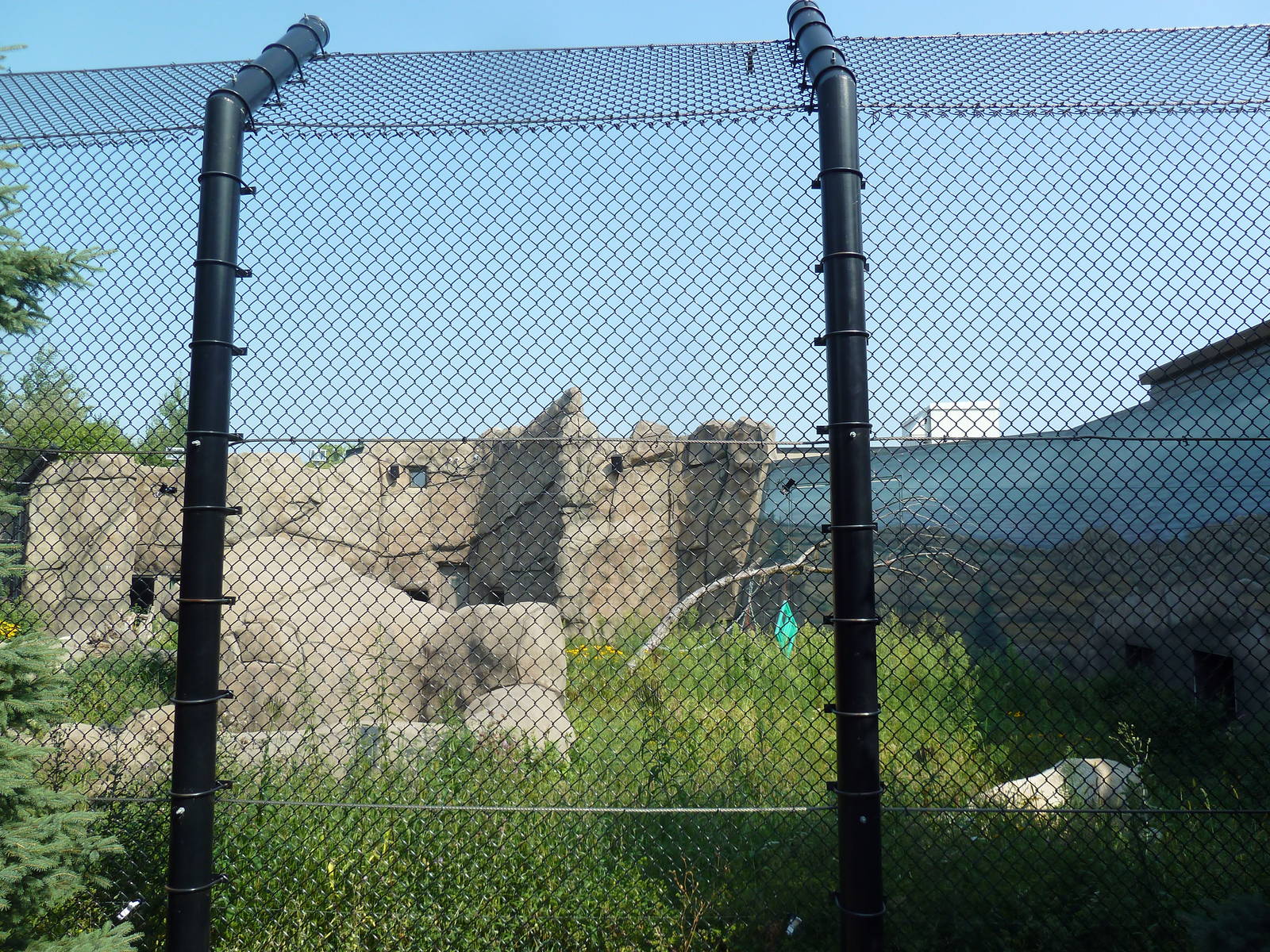 Polar Bear Odyssey Exhibit #1 (New in 2010)