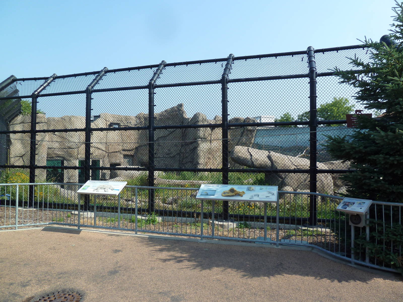 Polar Bear Odyssey Exhibit #1 (New in 2010)