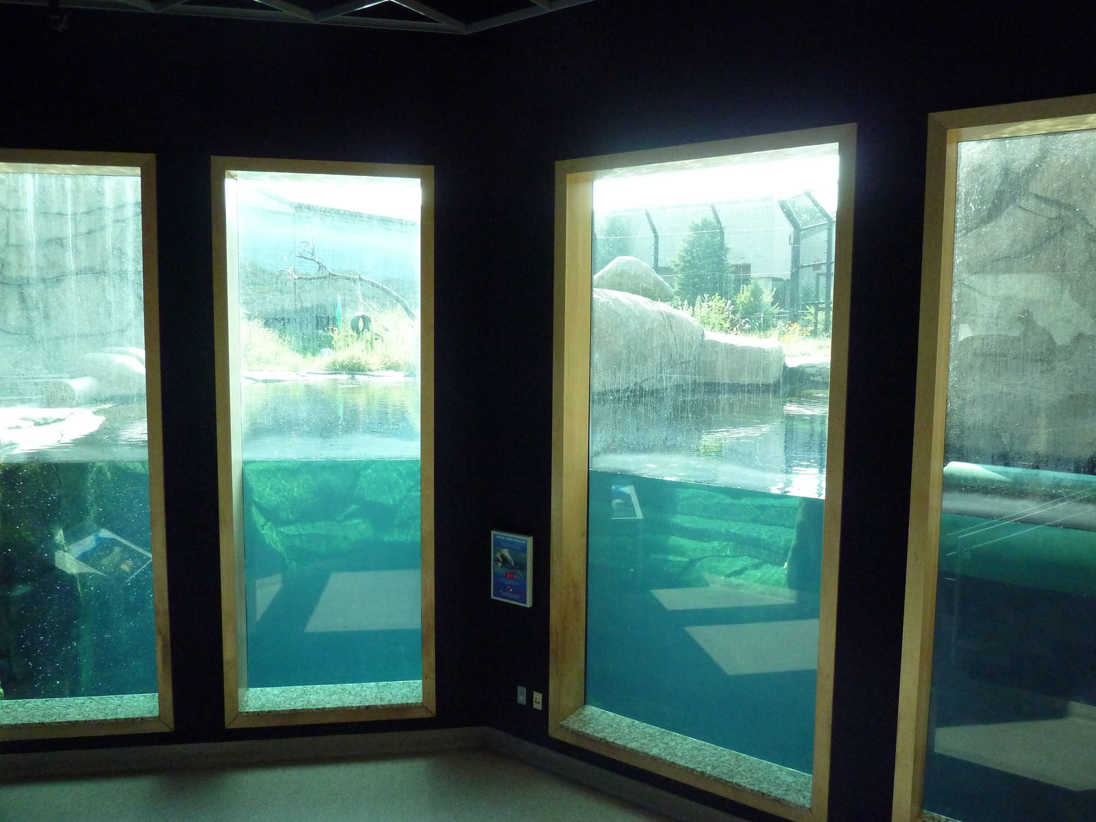 Polar Bear Odyssey Exhibit #1 (New in 2010)