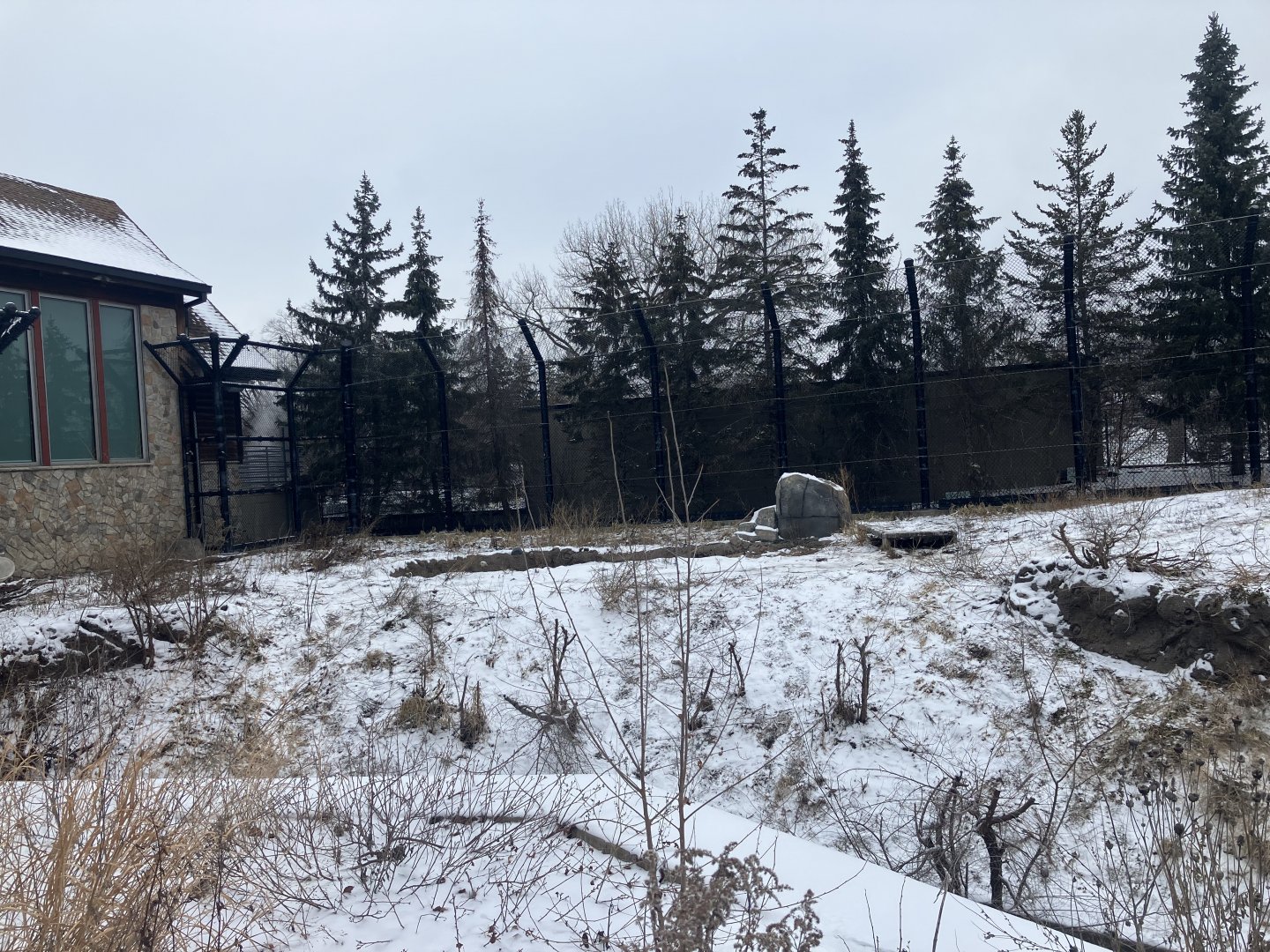 Polar Bear Odyssey - Exhibit #1