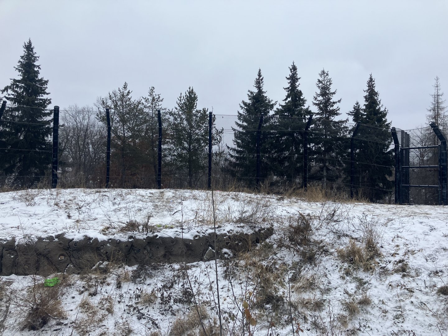 Polar Bear Odyssey - Exhibit #1