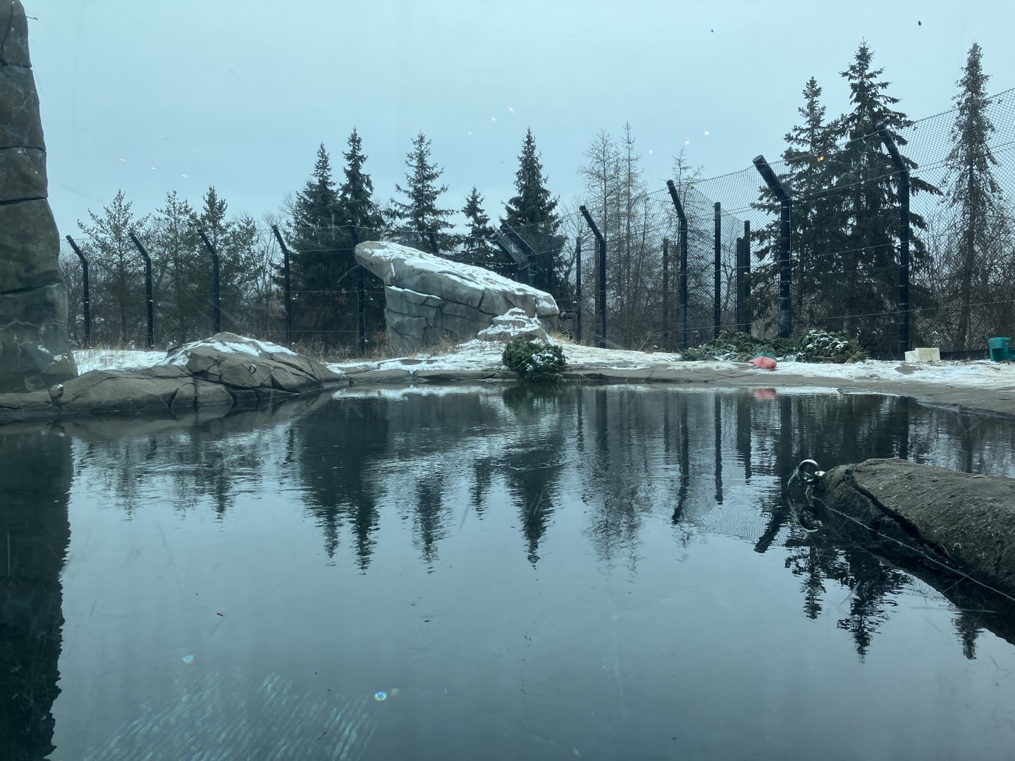 Polar Bear Odyssey - Exhibit #1