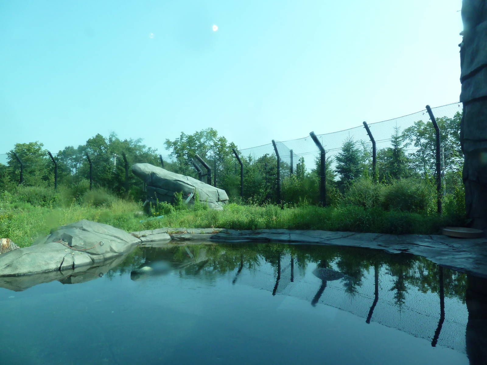 Polar Bear Odyssey Exhibit #2 (New in 2010)