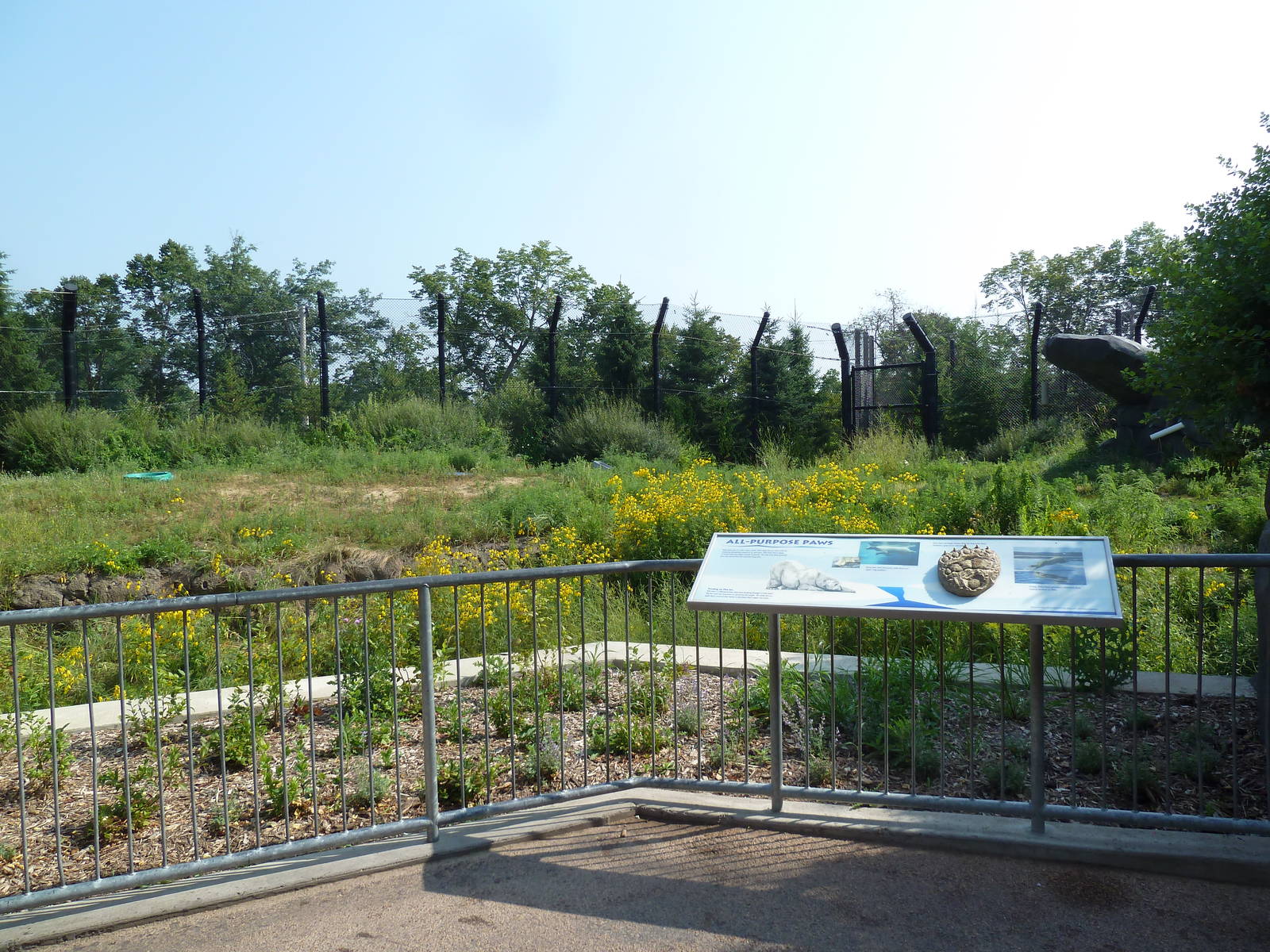 Polar Bear Odyssey Exhibit #2 (New in 2010)