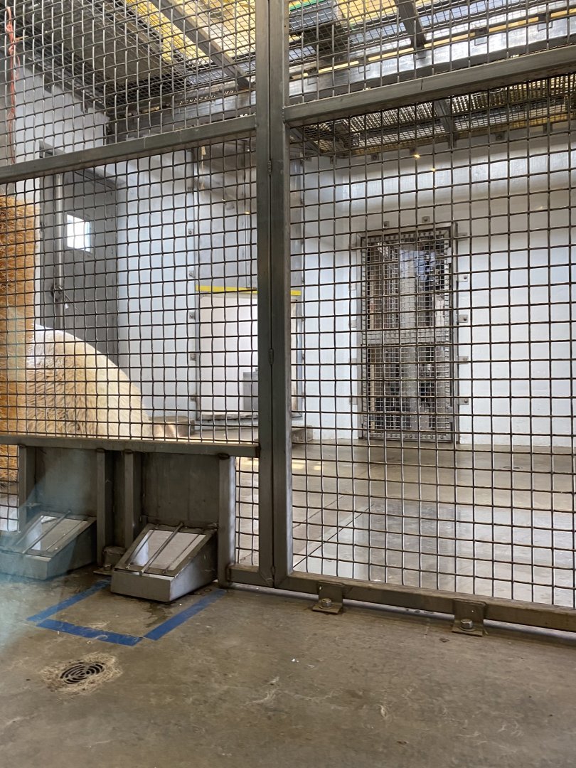 Polar bear odyssey- indoor polar bear exhibit