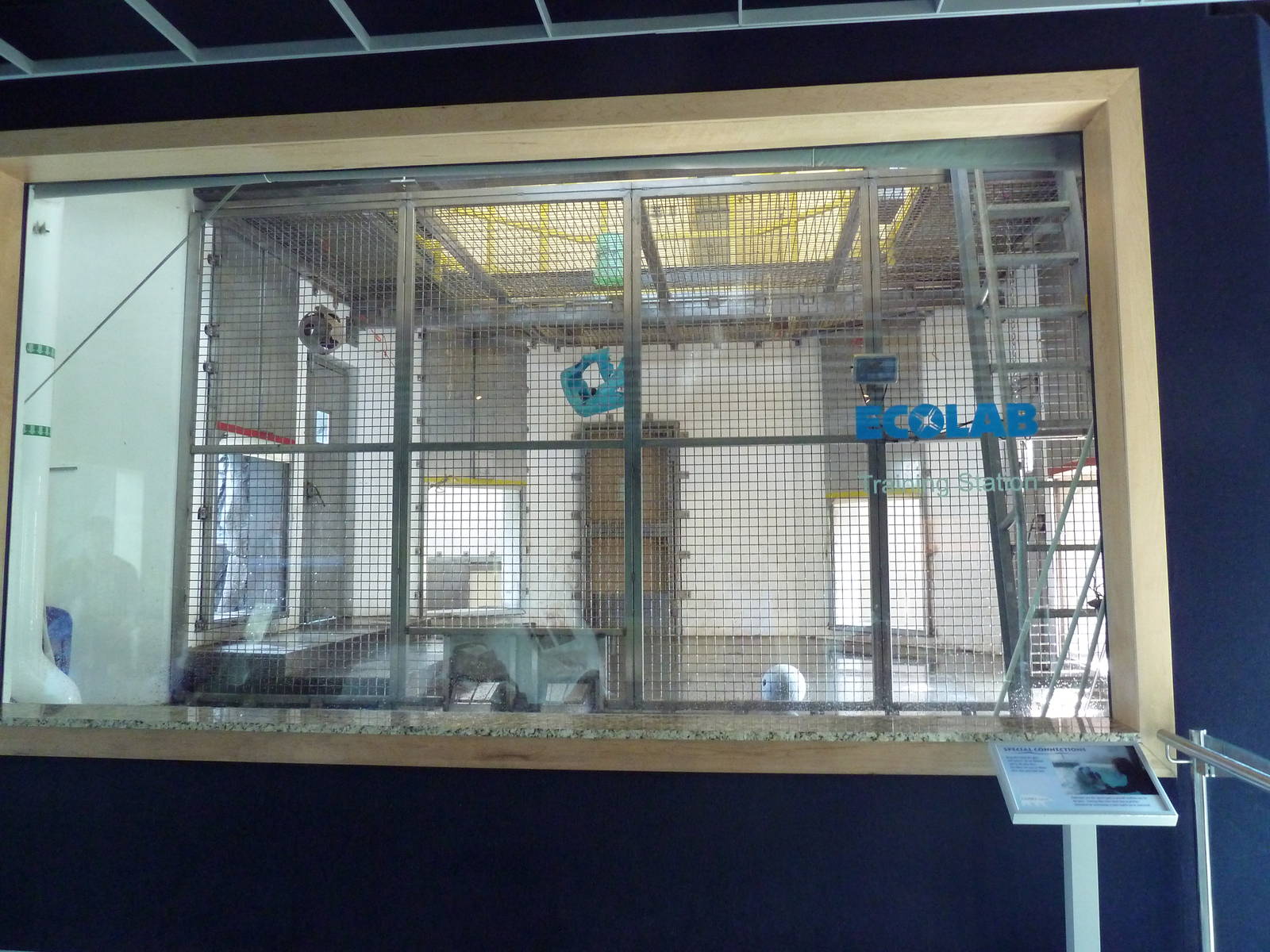 Polar Bear Odyssey Indoor Zone (New in 2010)