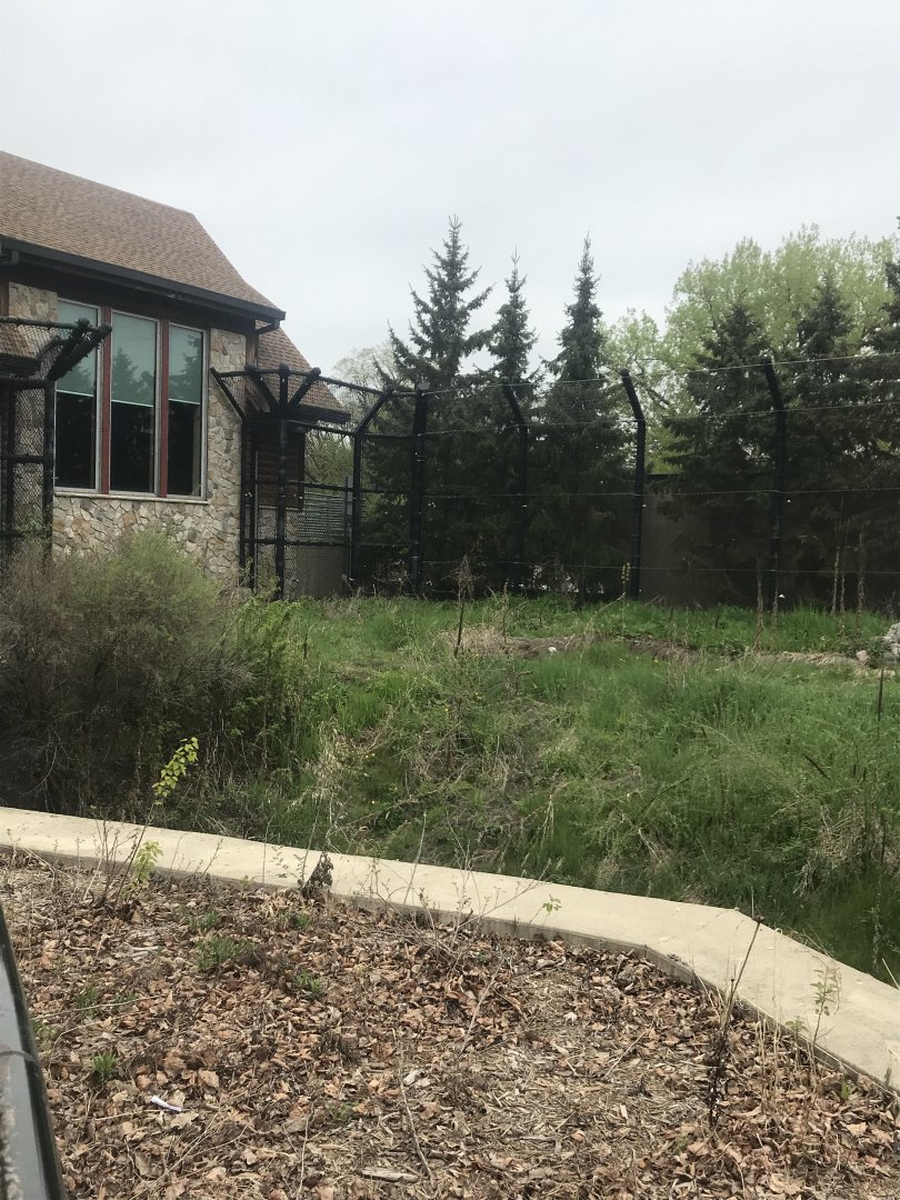 Polar Bear Odyssey- left side of left polar bear enclosure.