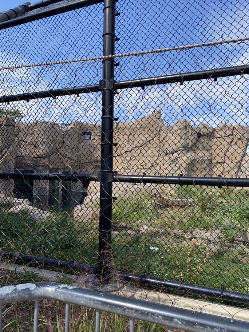 Polar bear odyssey- polar bear exhibit #2