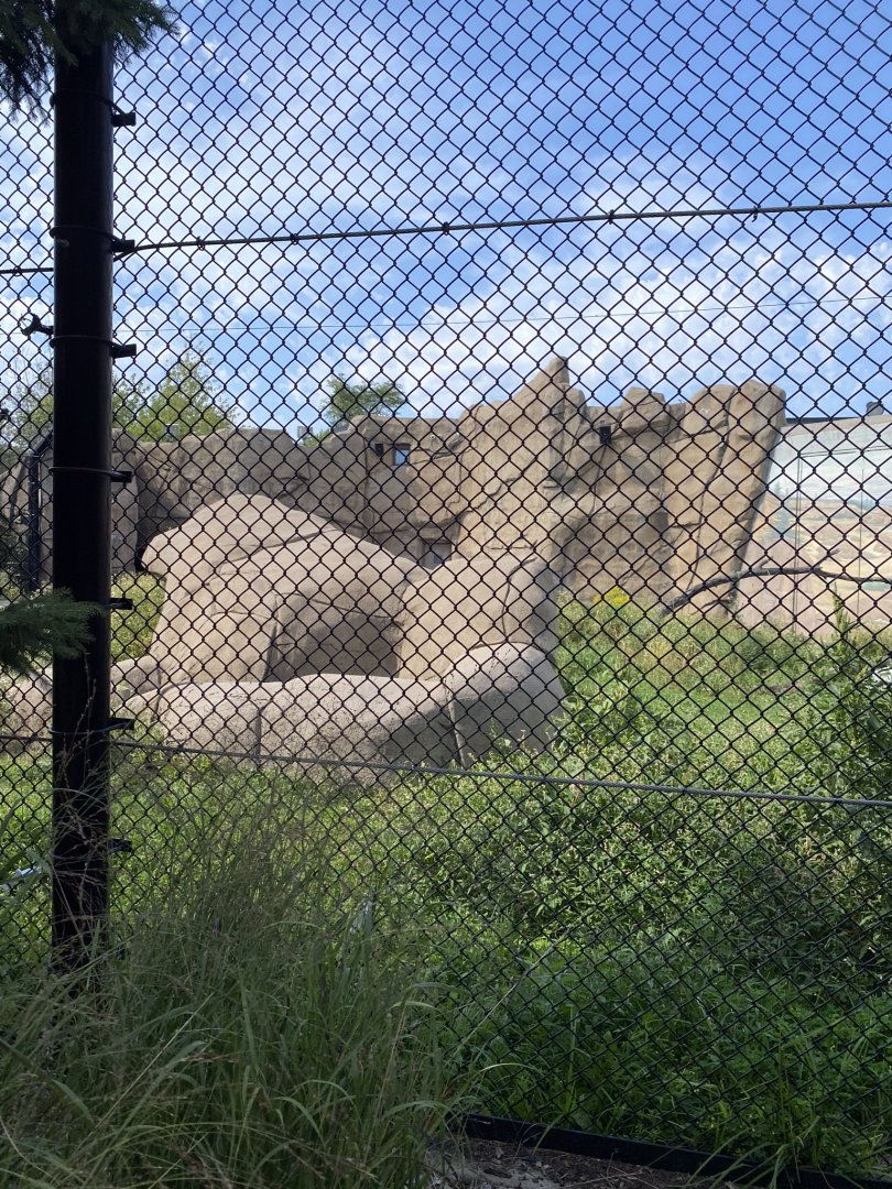 Polar bear odyssey- polar bear exhibit #2