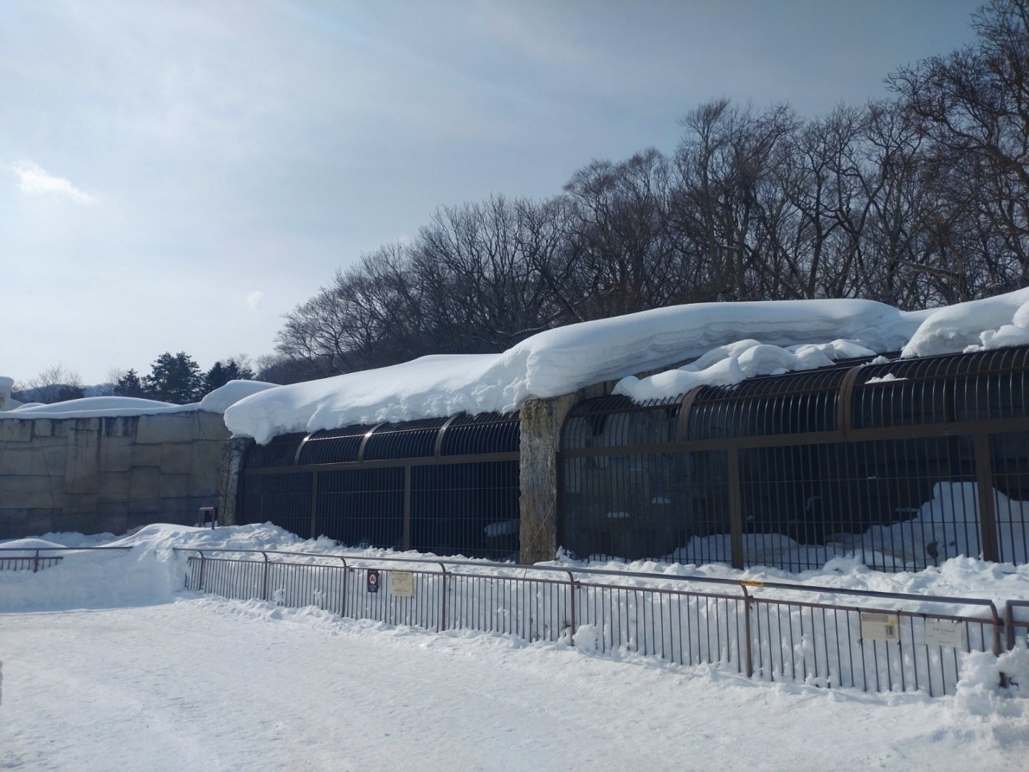 Polar bear old cage at Maruyama Zoo
