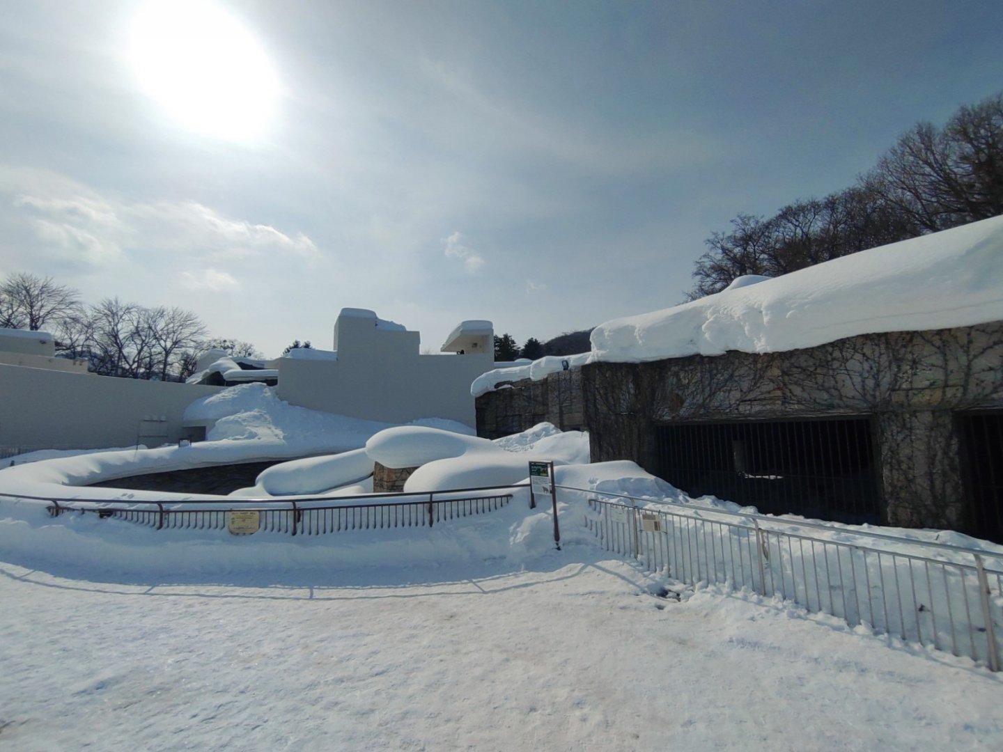 Polar bear old cage at Maruyama Zoo