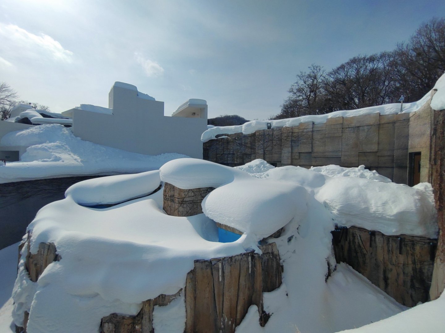 Polar bear old cage at Maruyama Zoo