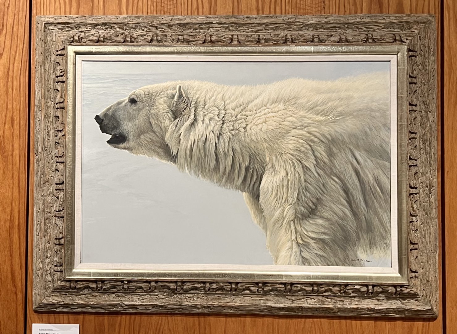 Polar Bear Painting (study of)