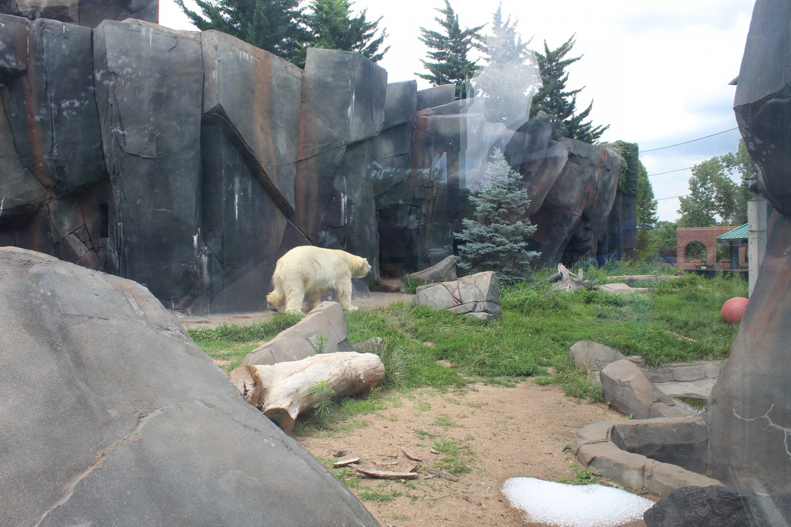 Polar Bear Point (Polar Bear Exhibit)