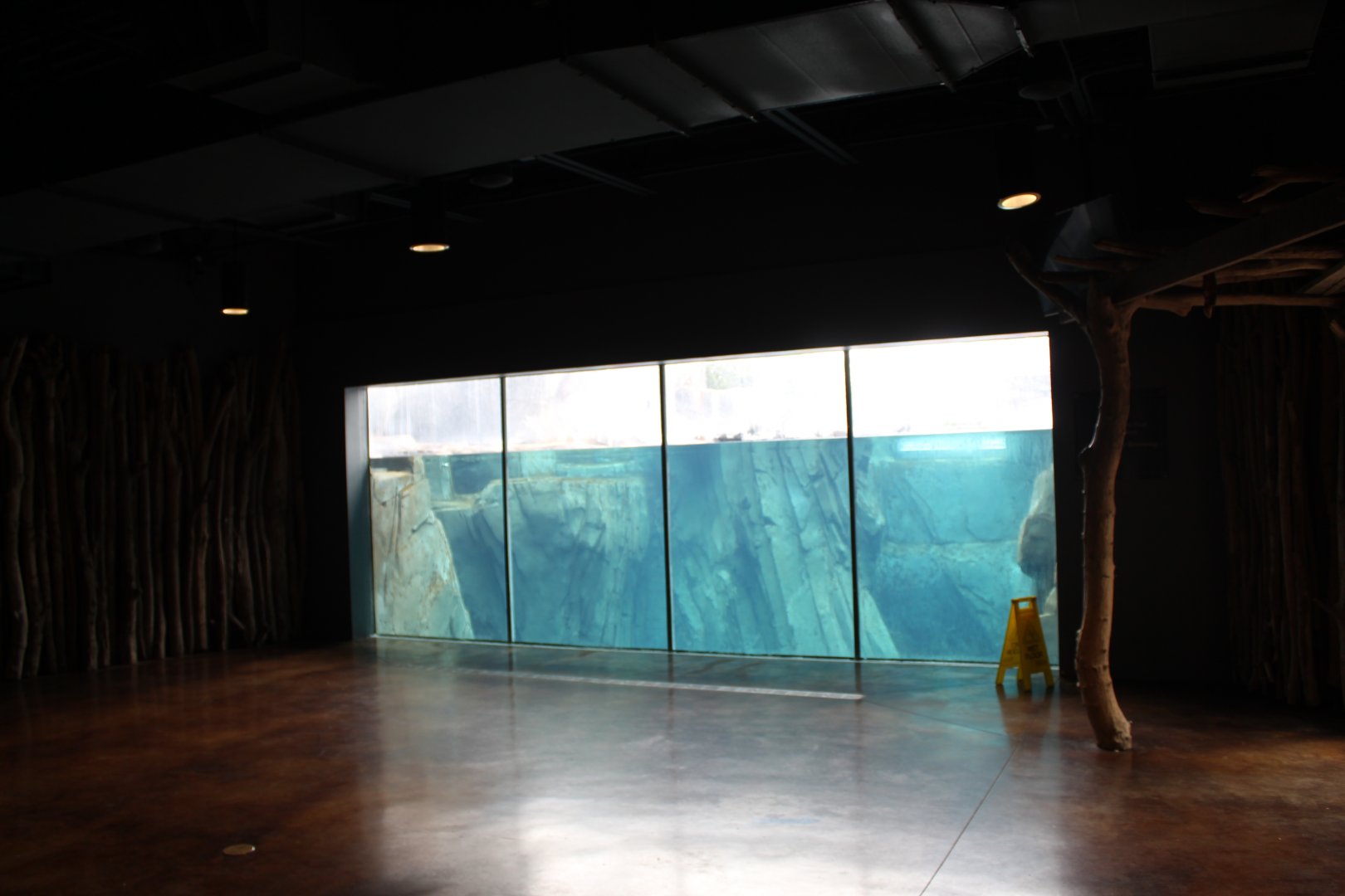 Polar Bear Point (Polar Bear Underwater Viewing)