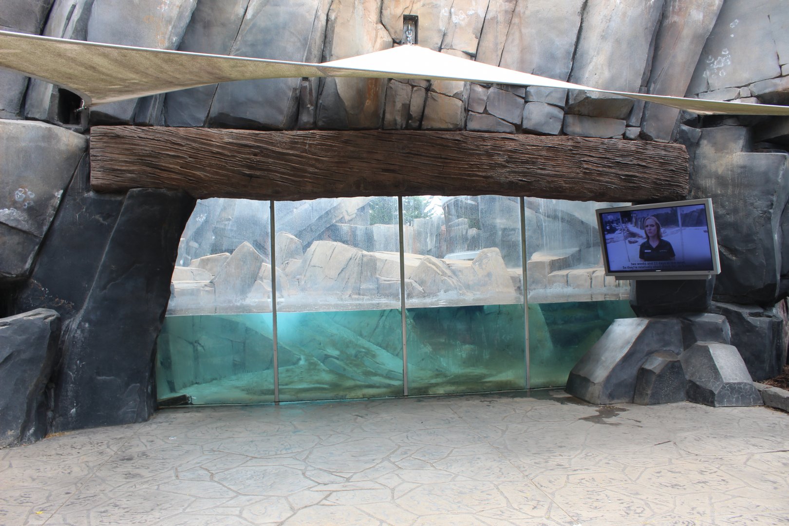 Polar Bear Point (Polar Bear Underwater Viewing)