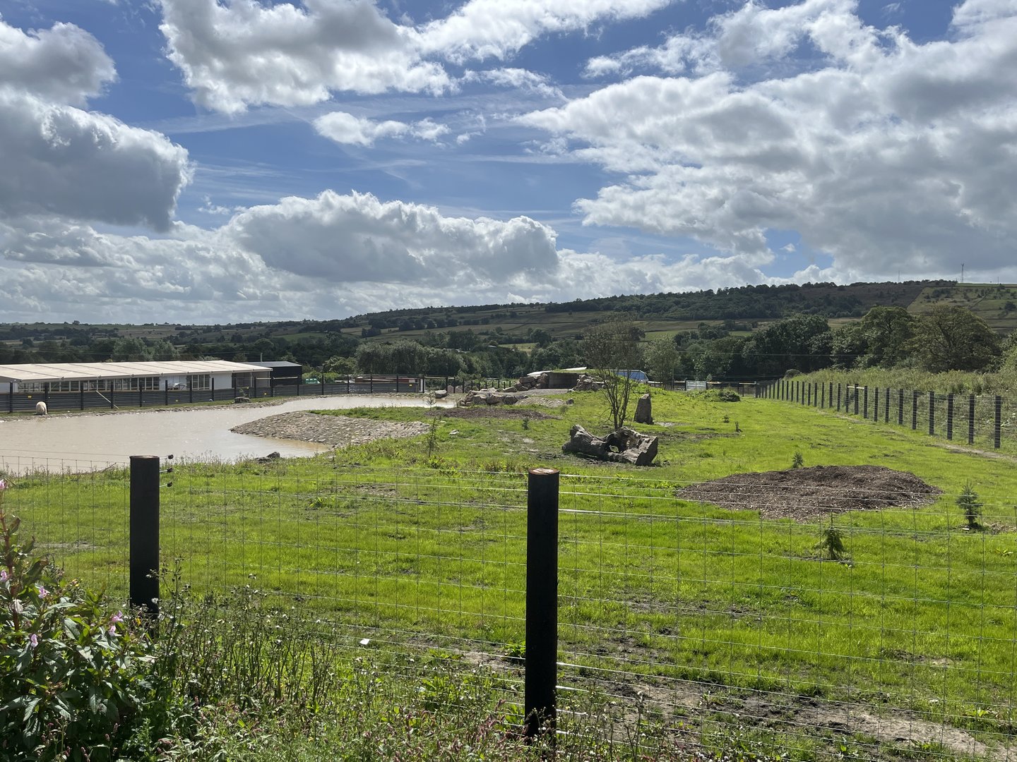 Polar Bear right side, main paddock