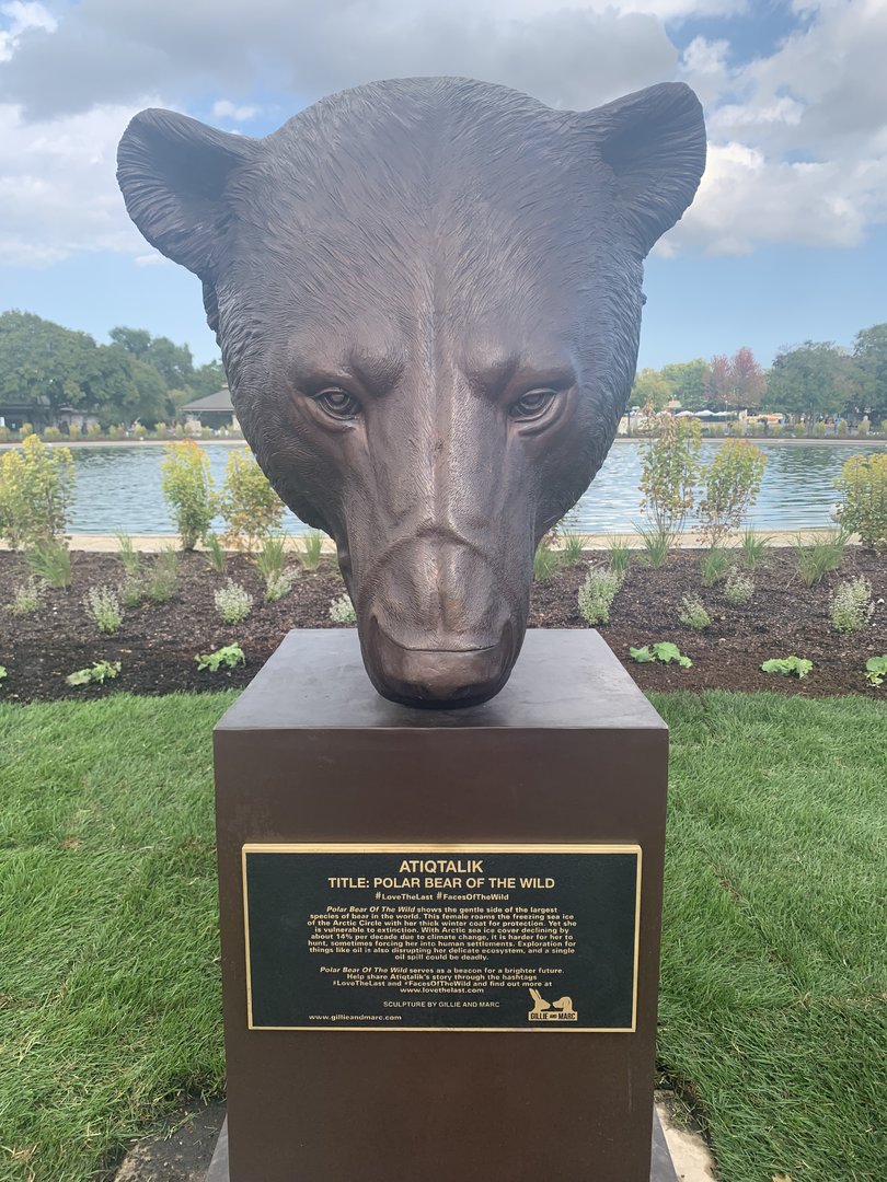 Polar bear sculpture