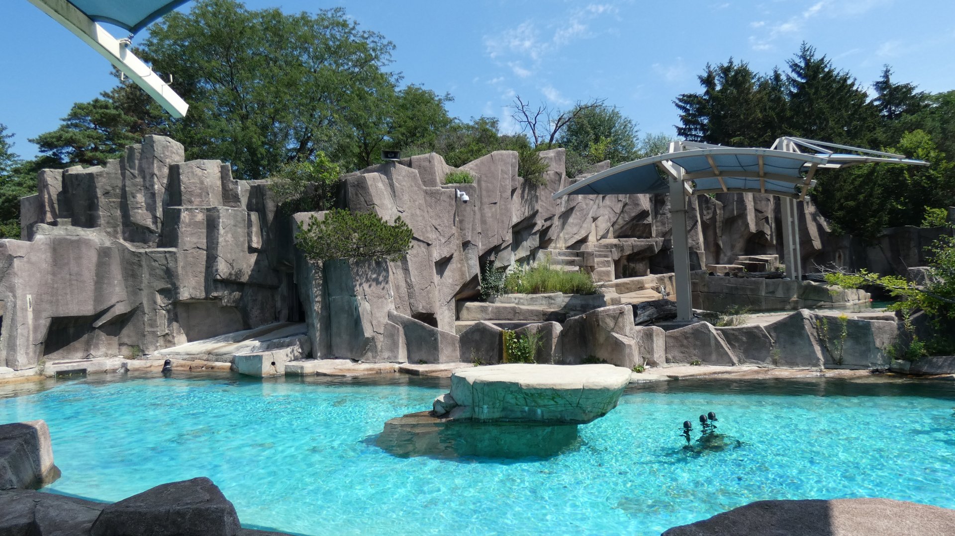 Polar Bear & Seal Habitat - Aug. 2021