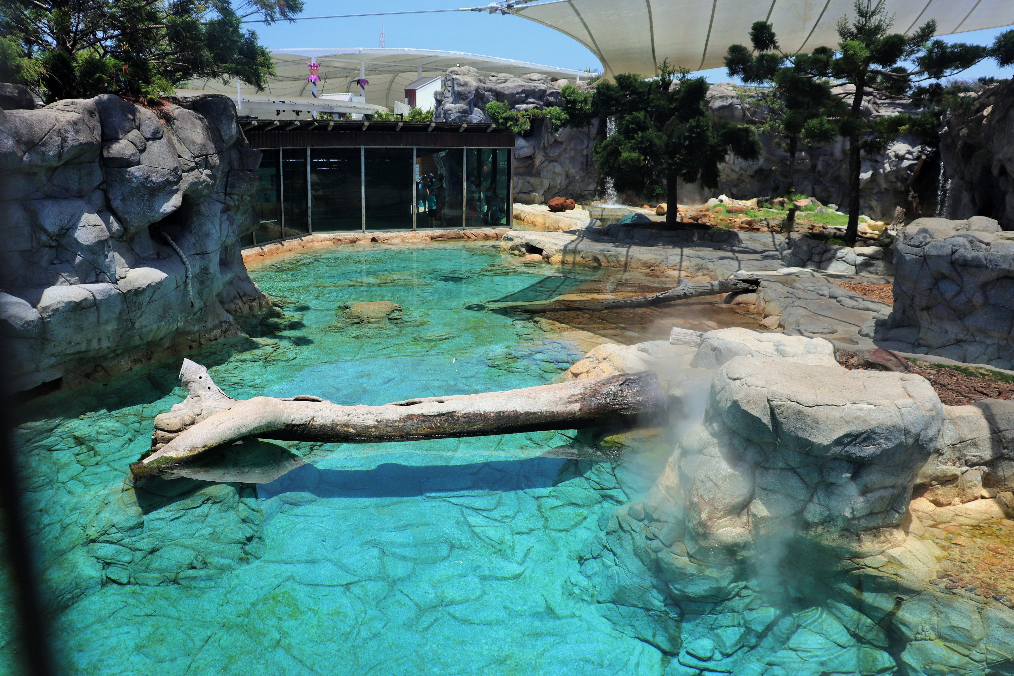 Polar Bear Shores - Main Enclosure