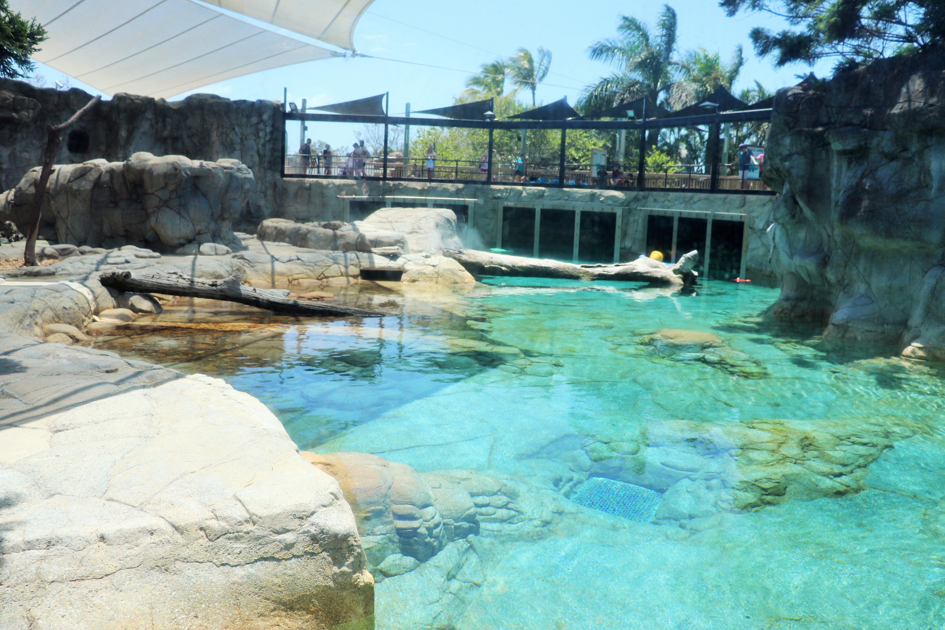 Polar Bear Shores - Main Enclosure