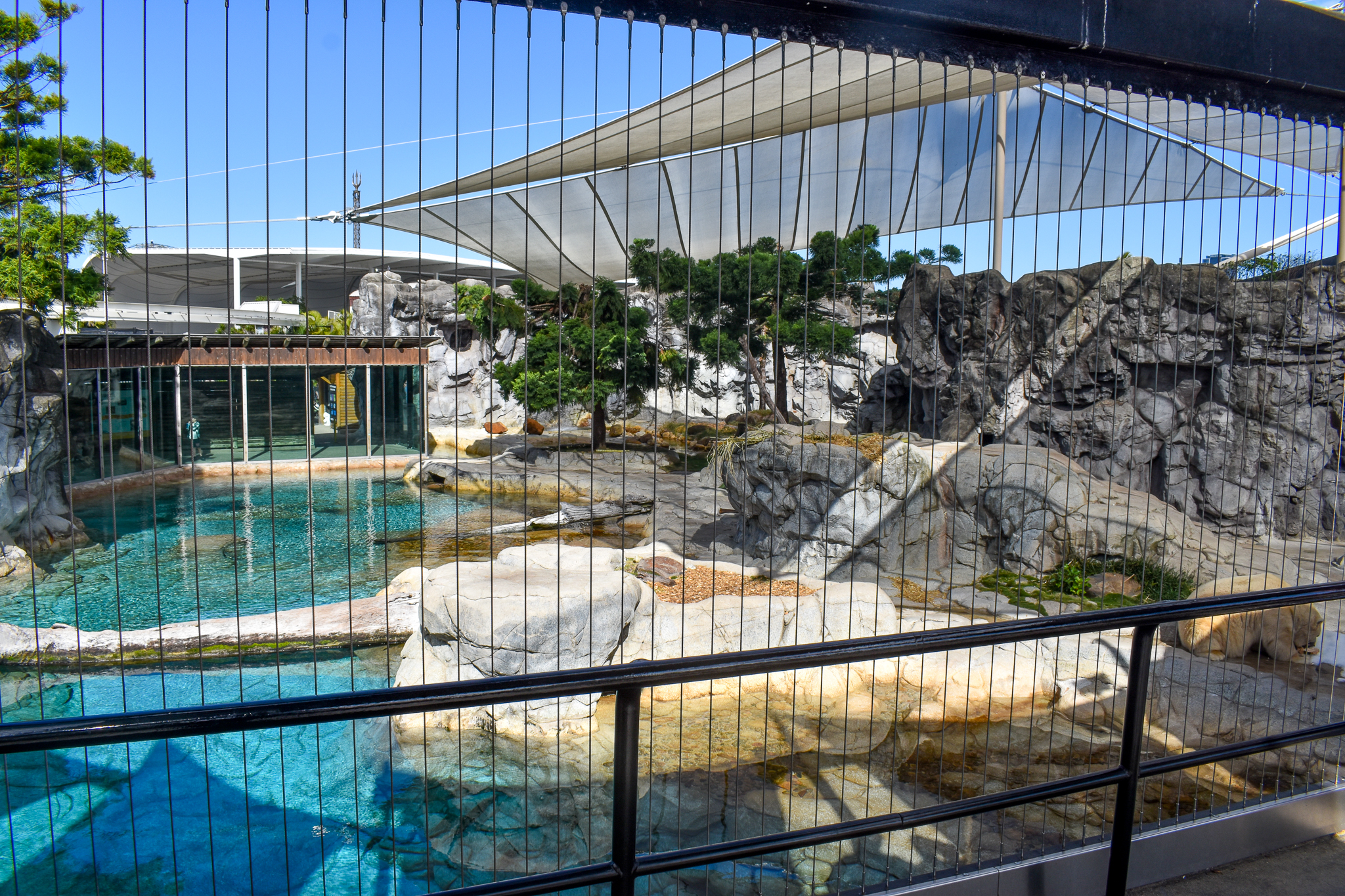 Polar Bear Shores - main exhibit