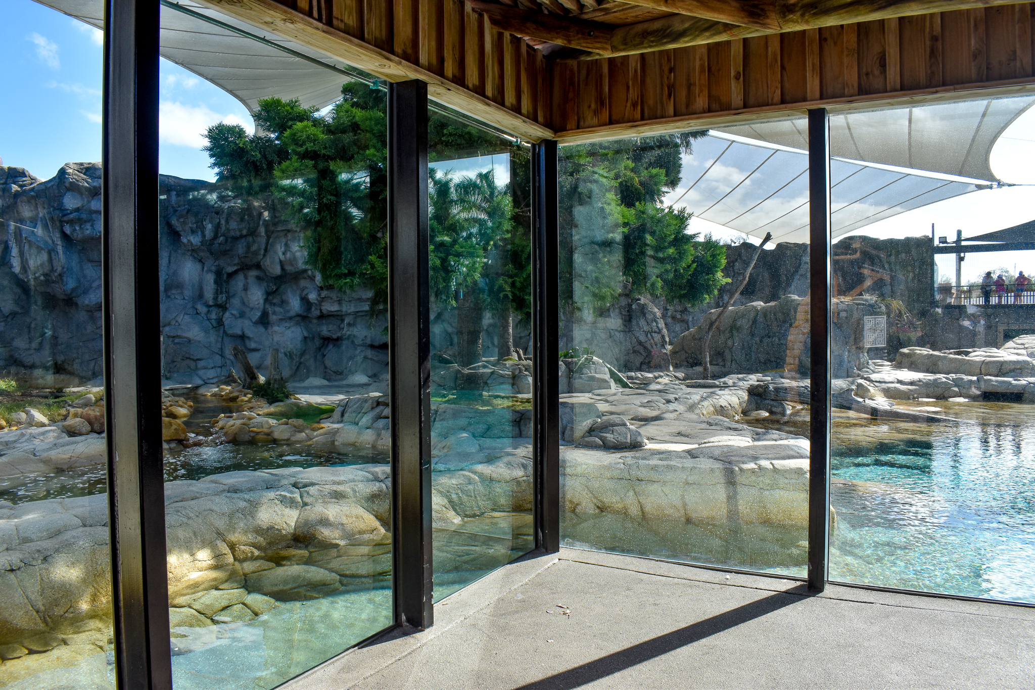 Polar Bear Shores - main viewing window