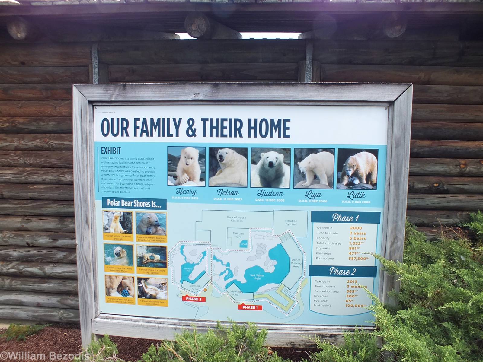 Polar Bear Sign and Enclosure Map
