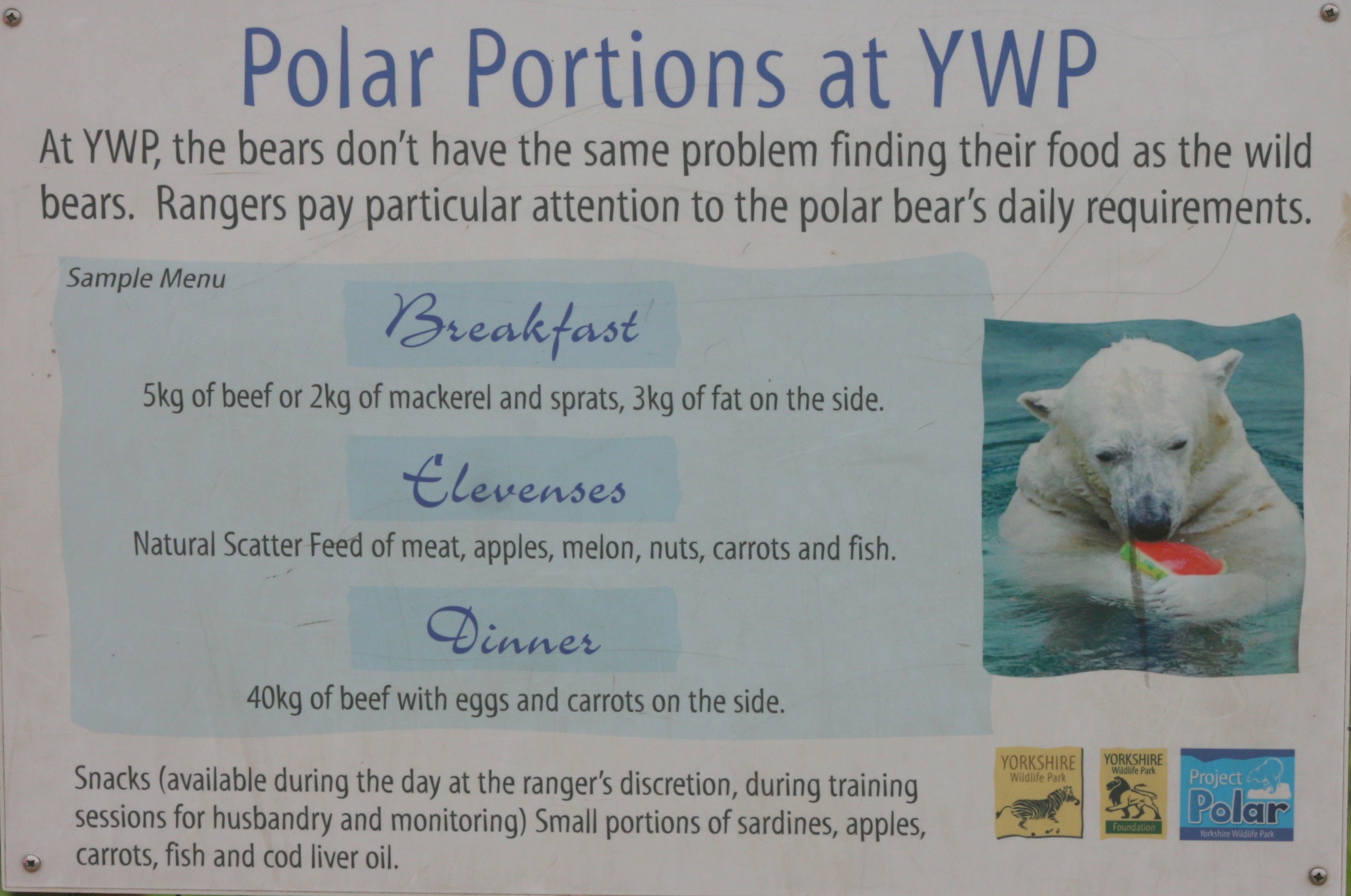 Polar Bear Sign 'Feeding'; Yorkshire Wildlife Park; 19th August 2017