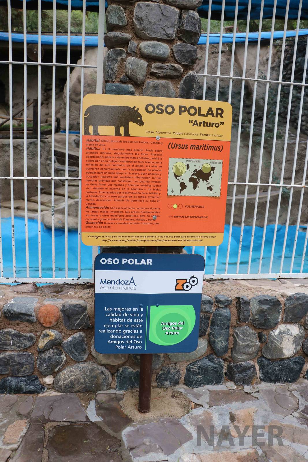 Polar bear sign - Mendoza Zoo, April 2016