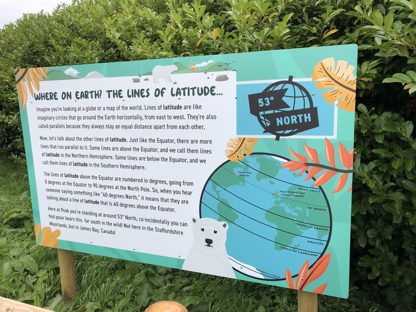 Polar Bear Signage at Peak Wildlife Park (August 2023)