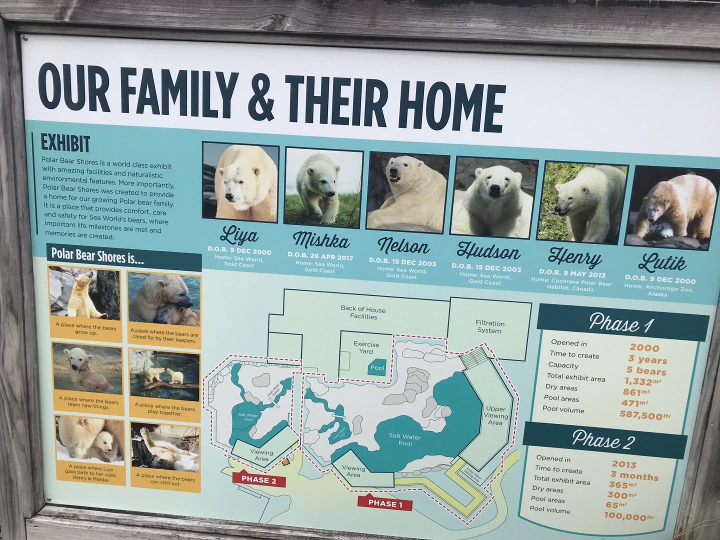 Polar bear signage
