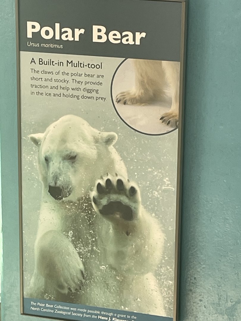 Polar Bear Signage