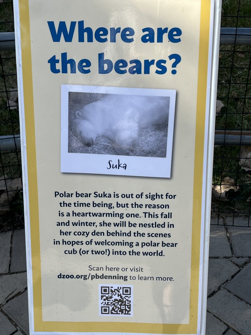 Polar Bear Signage