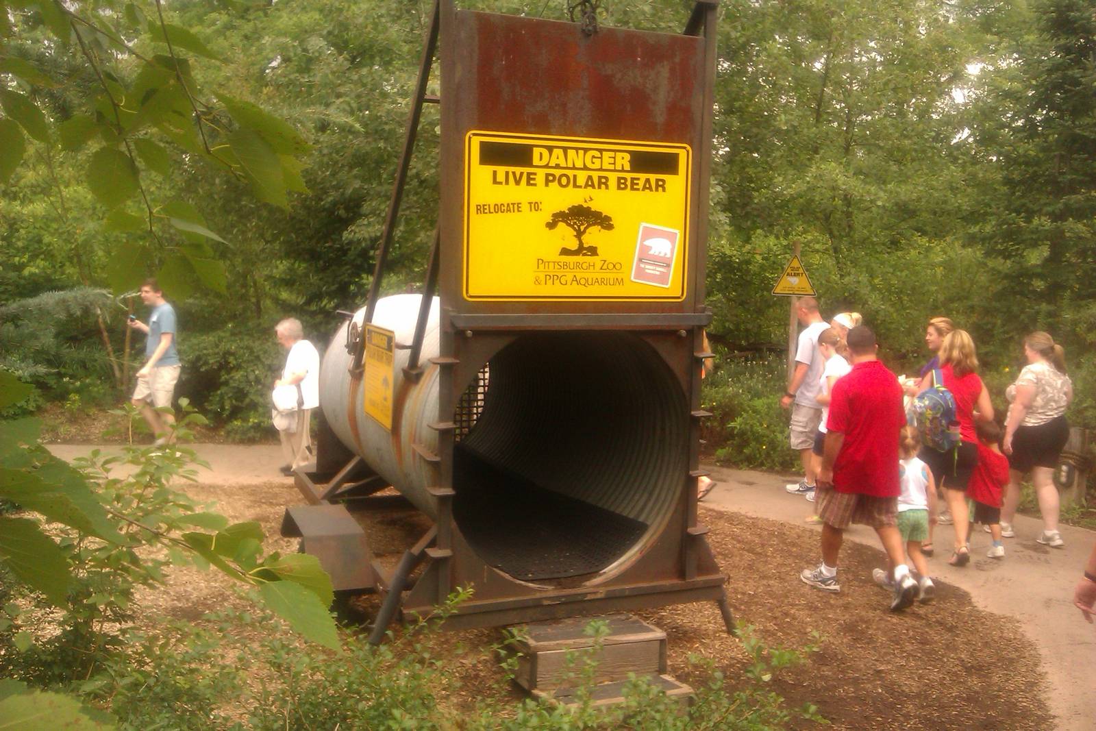Polar bear Trap in Water's edge