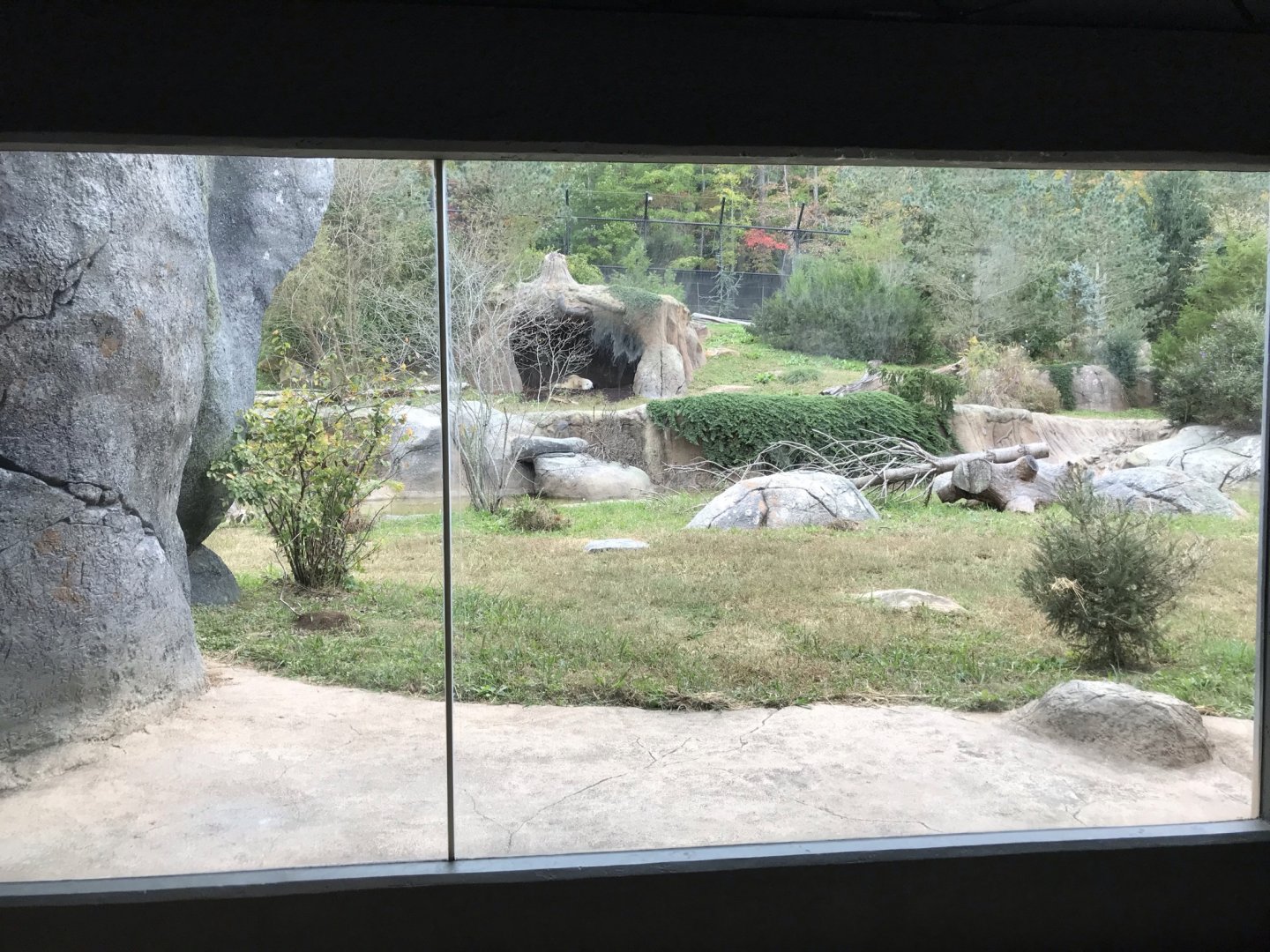 Polar Bear Tundra Habitat