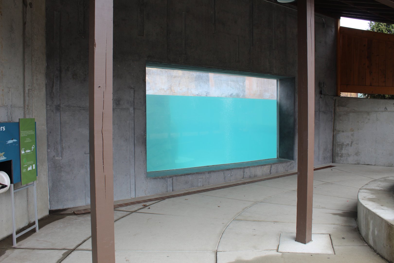 Polar Bear Underwater Viewing - Arctic Passage