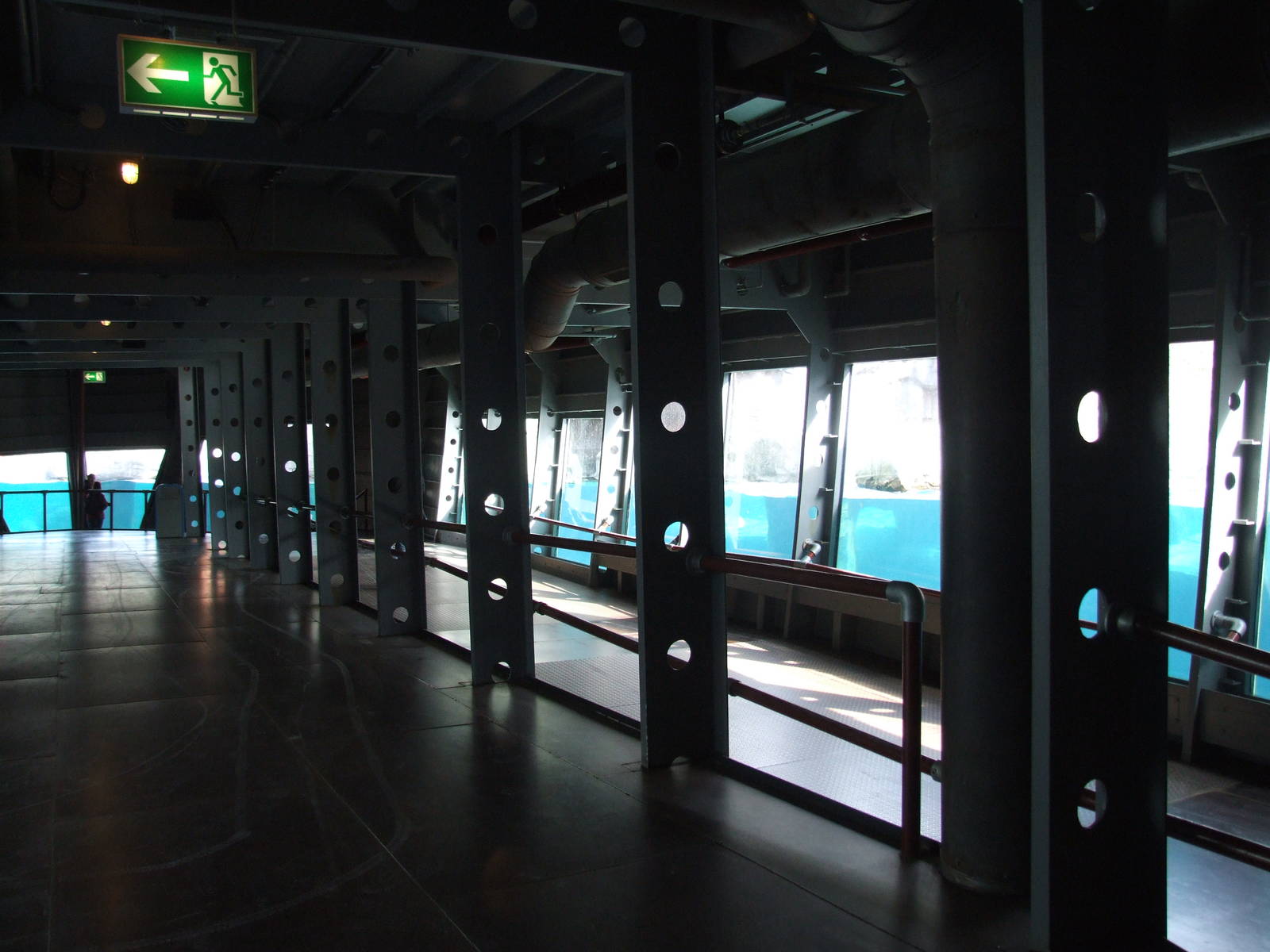 Polar Bear Underwater Viewing at Hannover, 23/03/13