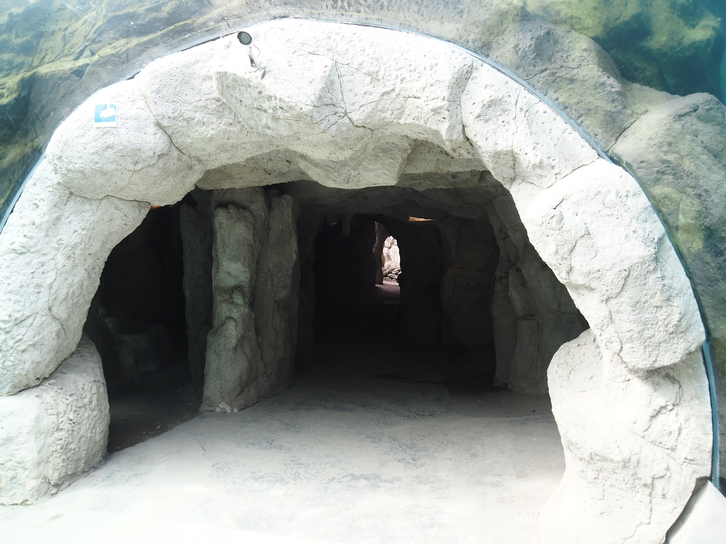 Polar bear underwater viewing cave, 2024-08-05