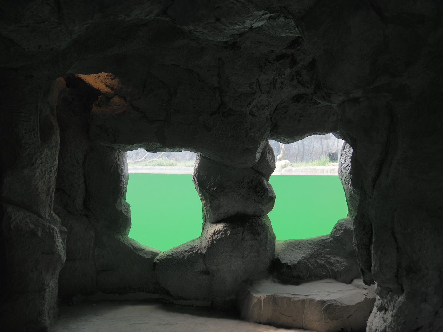 Polar bear underwater viewing windows in cave, 2024-08-05